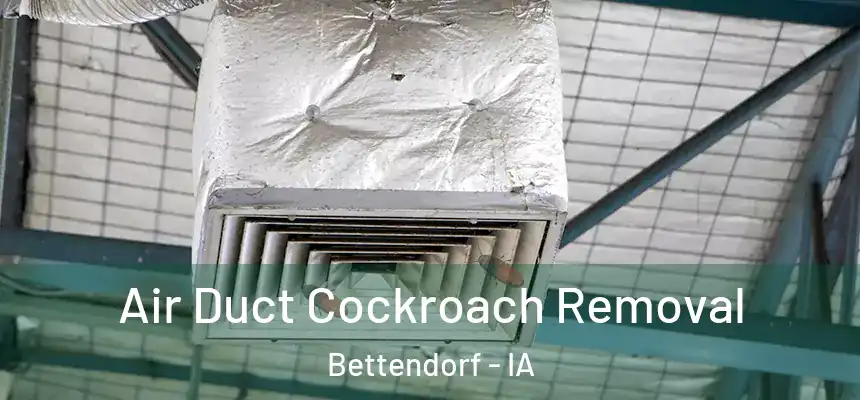 Air Duct Cockroach Removal Bettendorf - IA