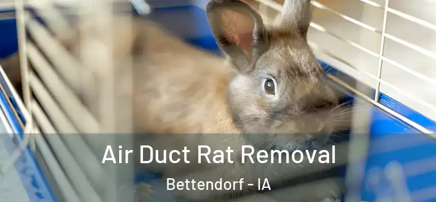 Air Duct Rat Removal Bettendorf - IA