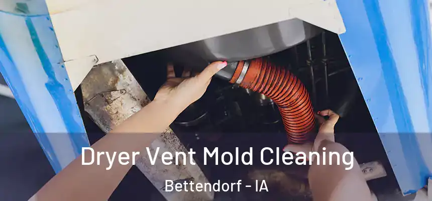 Dryer Vent Mold Cleaning Bettendorf - IA