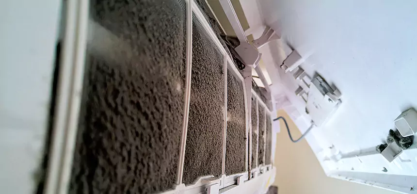 Preventive Air Duct Bacteria Removal in Bettendorf