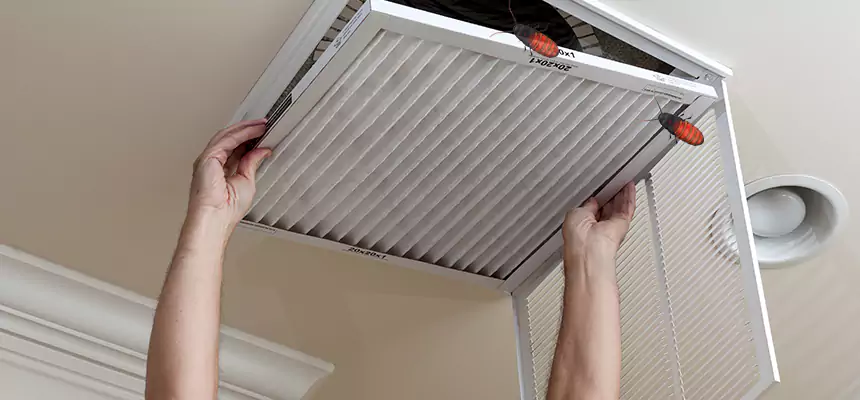 Our Insect Removal from Air Ducts Services in Bettendorf, IA
