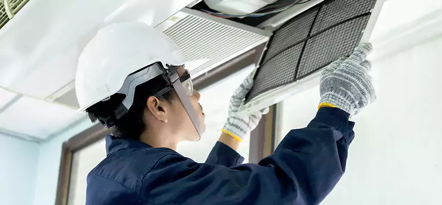 Our Mold & Mildew Removal from Air Ducts Services in Bettendorf, IA