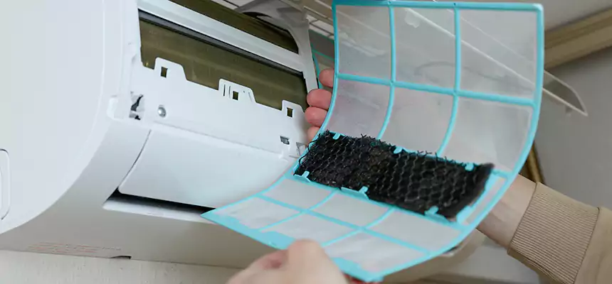 Gentle Ductwork Odor-Control Pet Dander Duct Cleaning in Bettendorf, IA