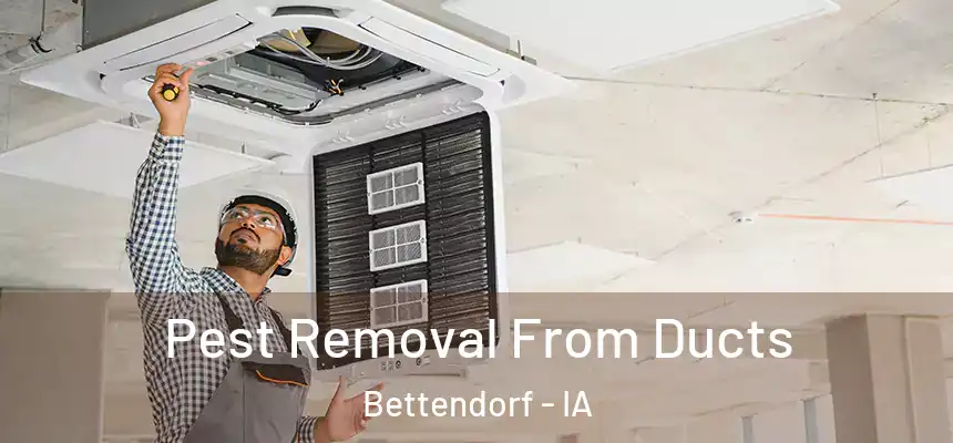 Pest Removal From Ducts Bettendorf - IA