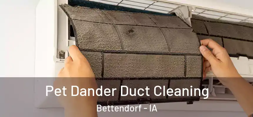 Pet Dander Duct Cleaning Bettendorf - IA