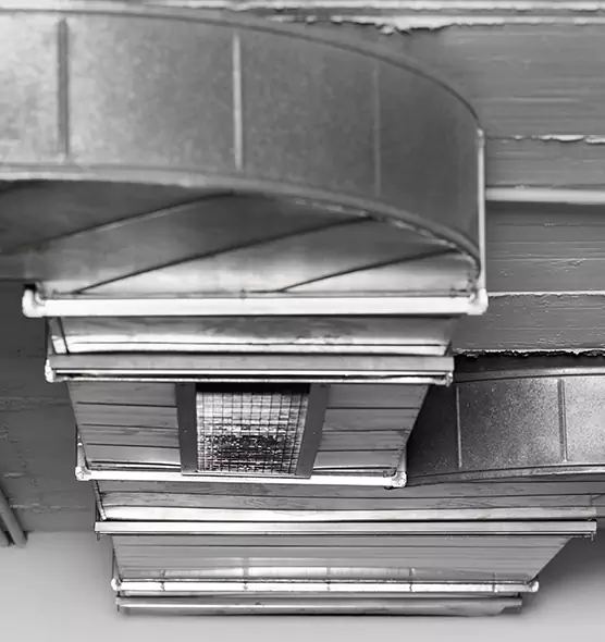 Professional Air Duct Pet Hair Removal in Bettendorf, IA