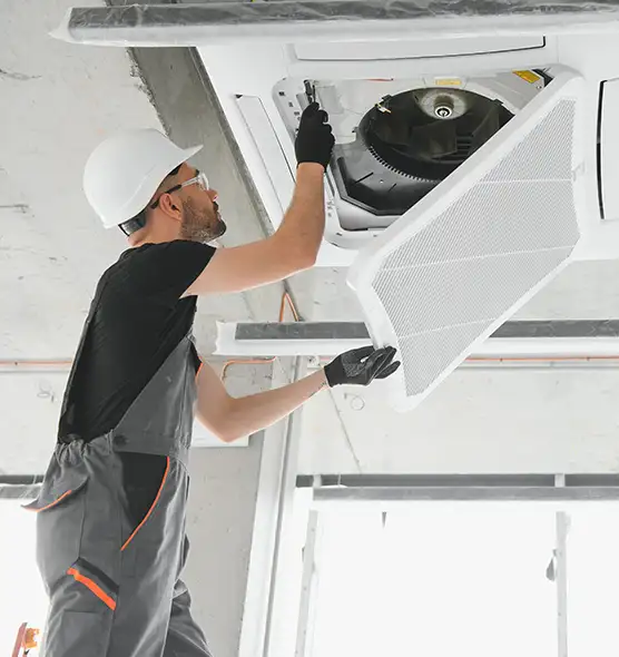 About Air Duct Rodent Removal in Bettendorf, IA