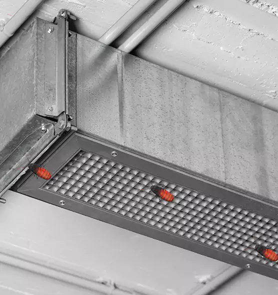 Affordable Insect Removal from Air Ducts in Bettendorf, IA