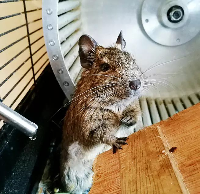 Why Homeowners & Businesses Trust Us Bettendorf, IA?